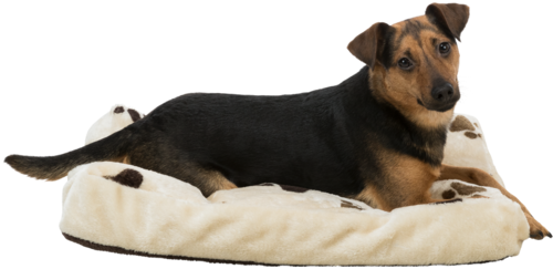 Kissen Gino - 120 × 75 cm