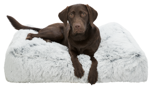 Kissen Harvey eckig - 100 × 70 cm