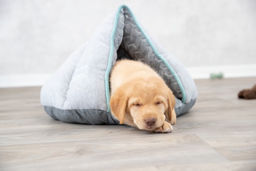 Junior Höhle - 45 × 30 × 40 cm