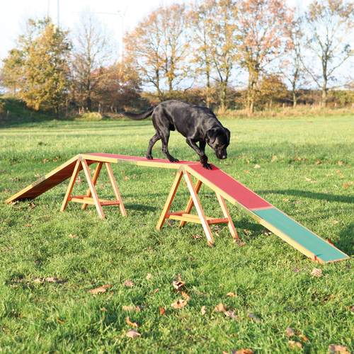 Dog Activity - Agility Steg