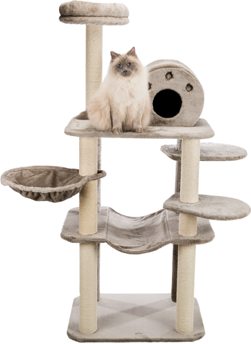 Kratzbaum Fabiola - 165 cm