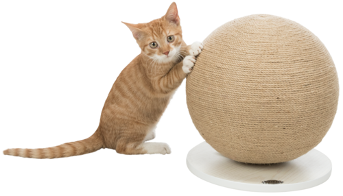 Kratzball auf Platte - 29 × 31 cm