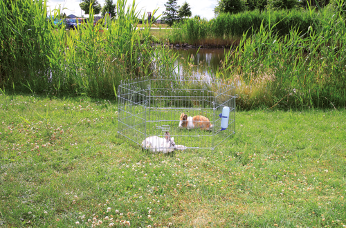 natura Freilaufgehege - 126 × 58 cm