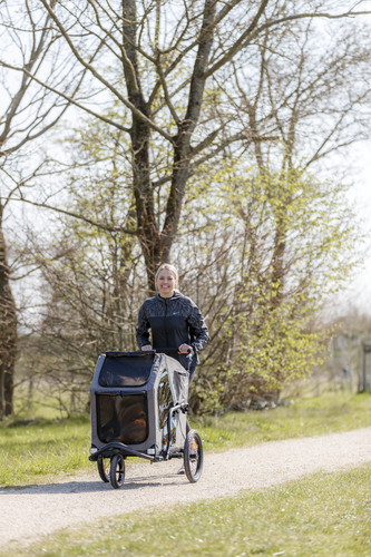Fahrrad-Anhänger - grau/salbei - S: 64 × 92 × 80/130 cm