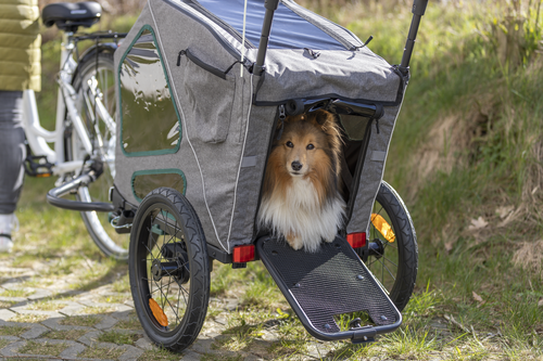 Fahrrad-Anhänger - grau/salbei - S: 64 × 92 × 80/130 cm