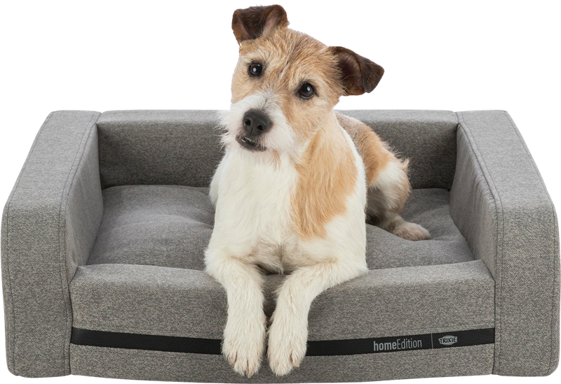 Sofa CityStyle eckig hellgrau - 60 × 50 cm