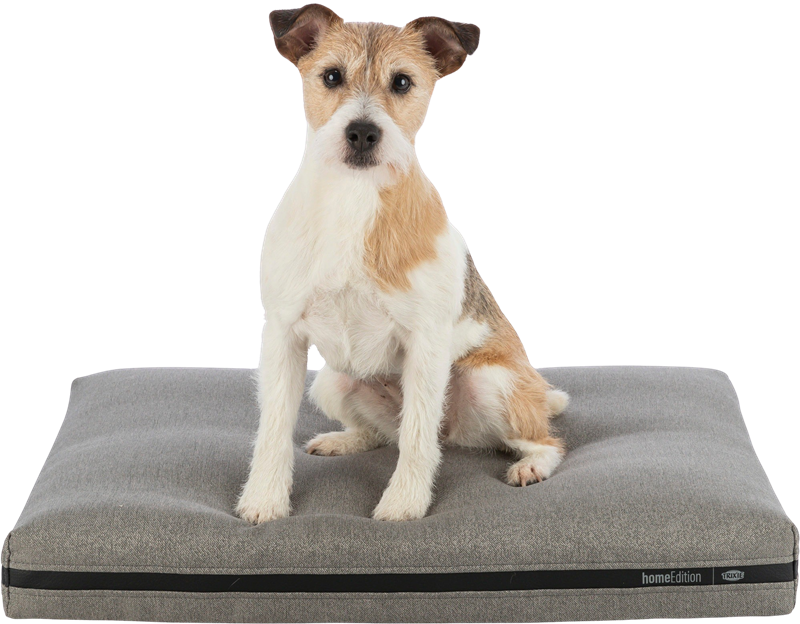 Matratze CityStyle eckig hellgrau - 70 × 50 cm