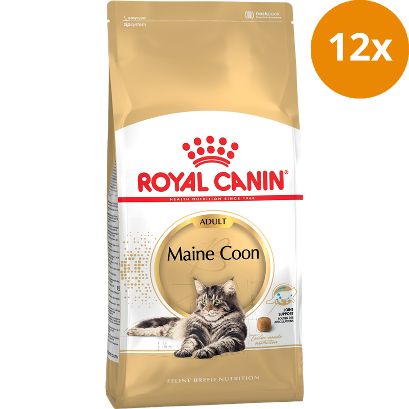 ROYAL CANIN Maine Coon 31