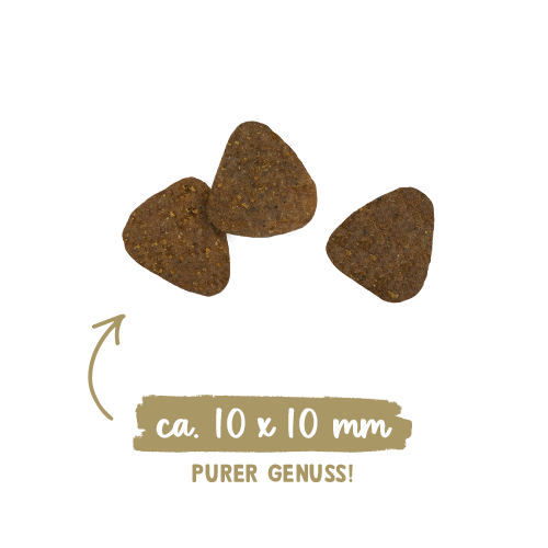 Sanabelle Hair & Skin