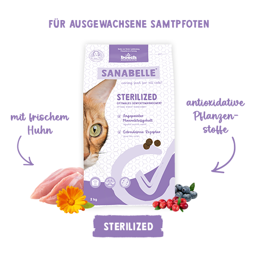 Sanabelle Sterilized