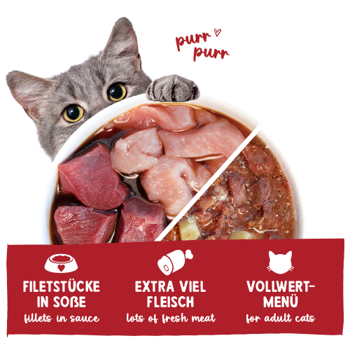 Sanabelle Nassfutter mit Rind & Pute 380 g