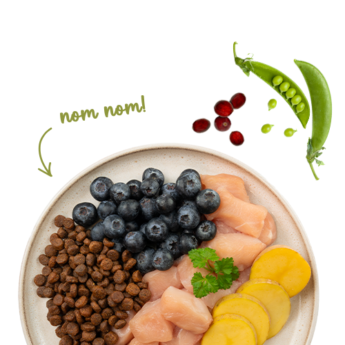 Sanabelle No Grain Huhn