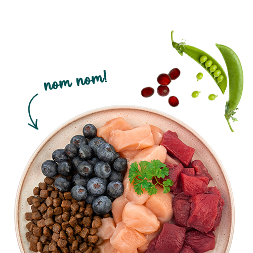 Sanabelle Outdoor mit Ente