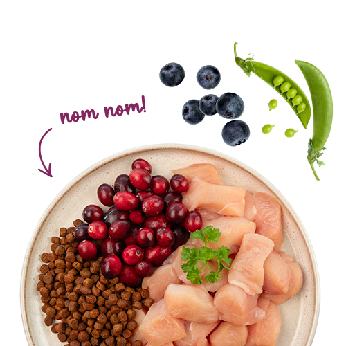 Sanabelle Senior Huhn