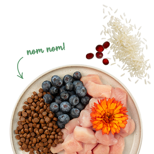 Sanabelle Sensitive Huhn