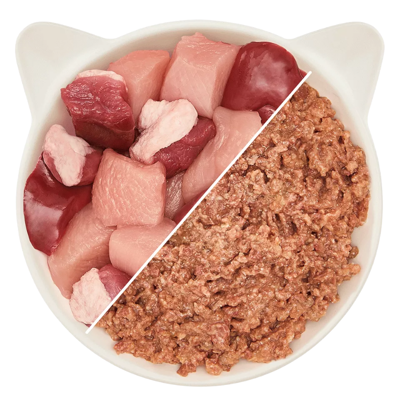 Wow Cat Dose Senior Geflügel & Ente 200g