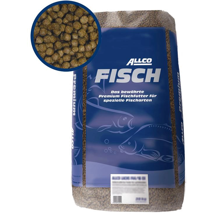 Allco Forelle schwimmend