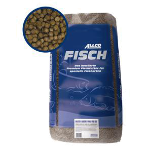 Allco Karpfen schwimmend