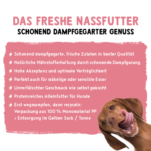 bosch Freshe Schnauze Nassfutter - Huhn mit Reis & Karotten 250 g