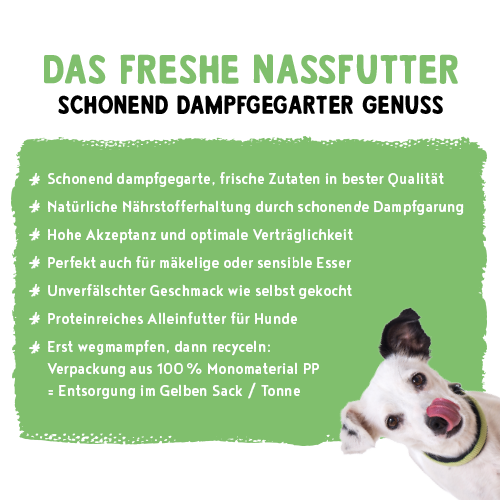 bosch Freshe Schnauze Nassfutter - Pute mit Quinoa & Spinat 250 g