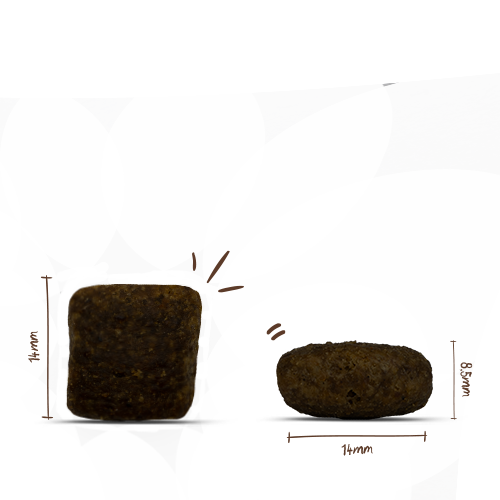 bosch HPC Plus Adult Forelle & Kartoffel