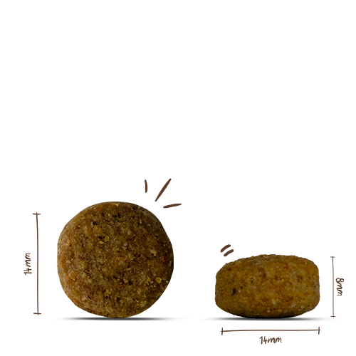 bosch Heimat mit frischem Schwäbisch-Hällischem Landschwein