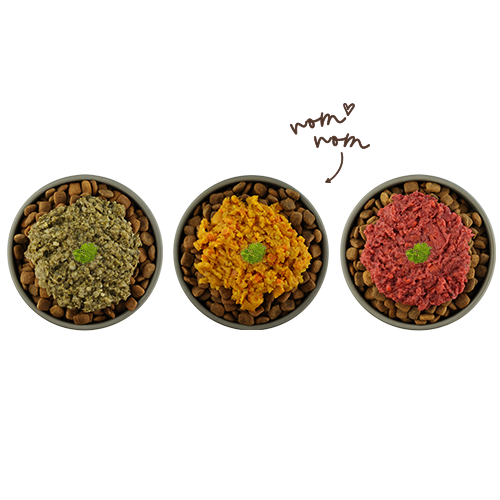 bosch Freshe Schnauze Topping - Aktionspaket Gemüse 6x200g