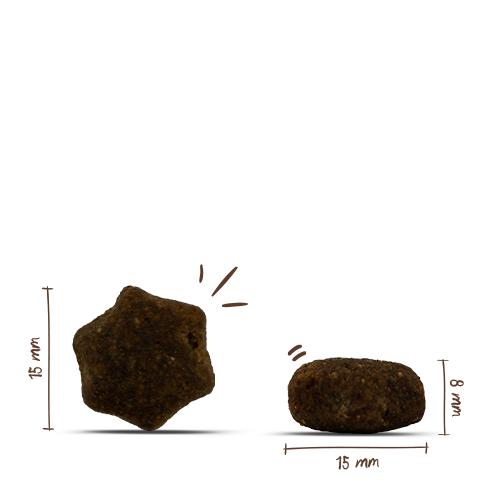 bosch LPC Adult Life & Care