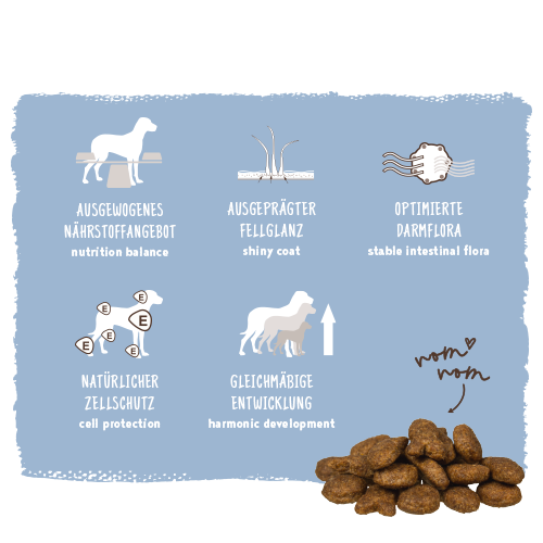 bosch HPC Adult Fisch & Kartoffel