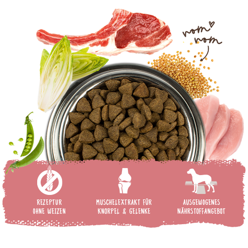 bosch HPC Adult Lamm & Reis