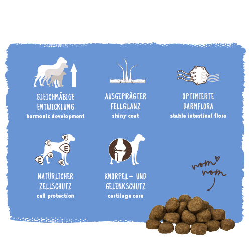 bosch HPC Junior mit Lamm & Reis