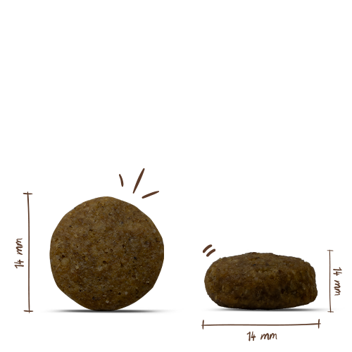 bosch HPC Junior mit Lamm & Reis