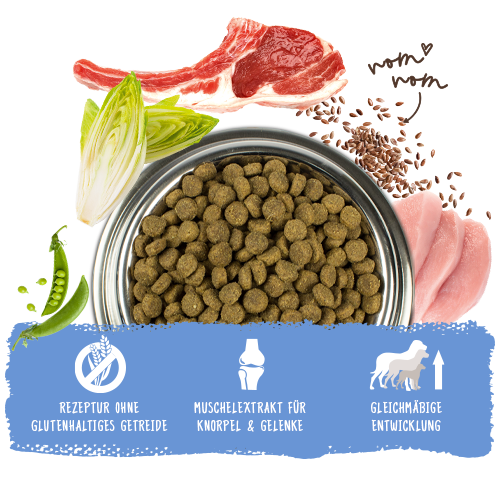 bosch HPC Junior mit Lamm & Reis