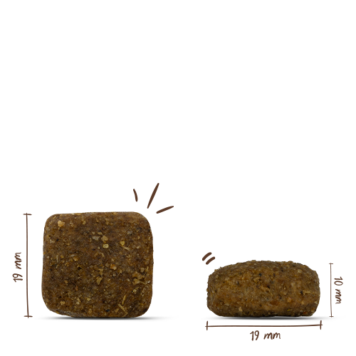 bosch HPC Maxi Adult