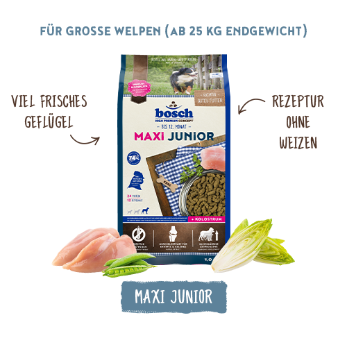 bosch HPC Maxi Junior