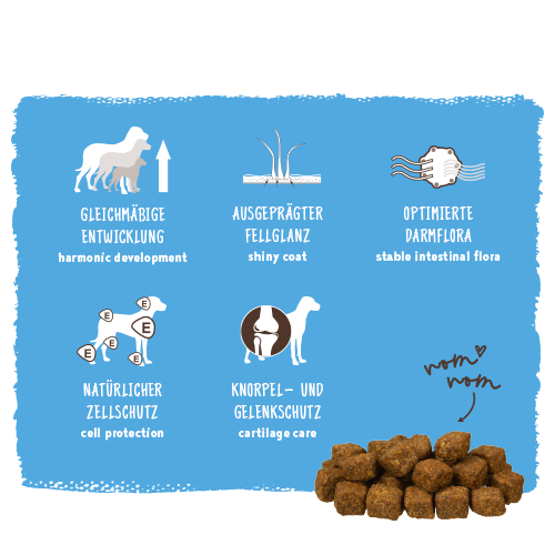 bosch HPC Medium Junior