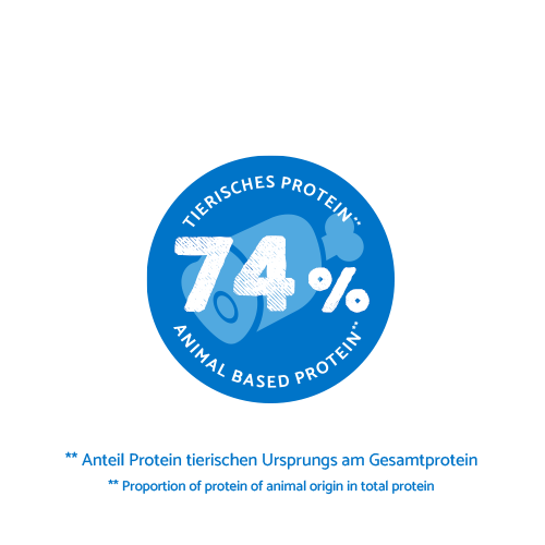 bosch HPC Medium Junior