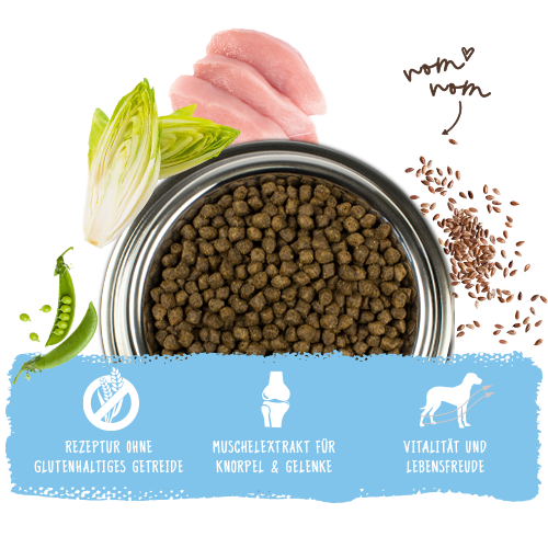 bosch HPC Mini Junior