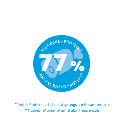 bosch HPC Mini Junior