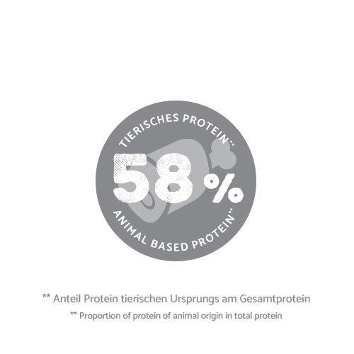 bosch HPC Mini Light