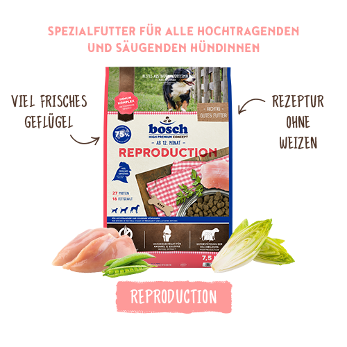 bosch HPC Reproduction