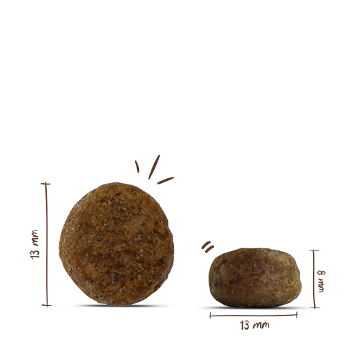 bosch HPC Sensitive Lamm & Reis