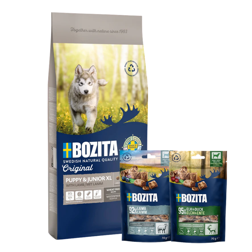 Bozita Original Puppy & Junior Lamb XL 12 kg & 2 x GRATIS Bozita Snacks (Elch, Lamm)