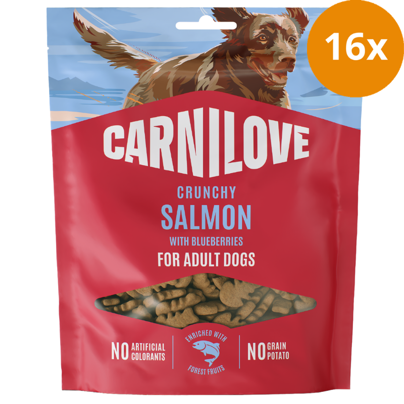 Carnilove Dog Snack Crunchy Salmon & Blueberries 200 g