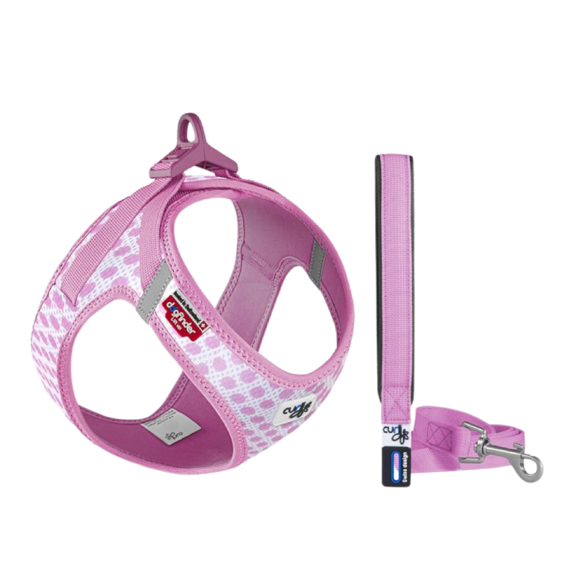 Curli Clasp Vest Geschirr Puppy Set