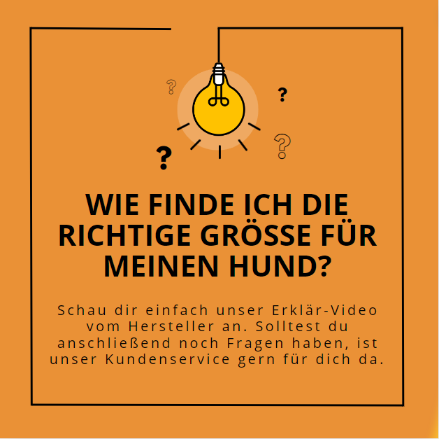 curli Vest Geschirr Puppy Set