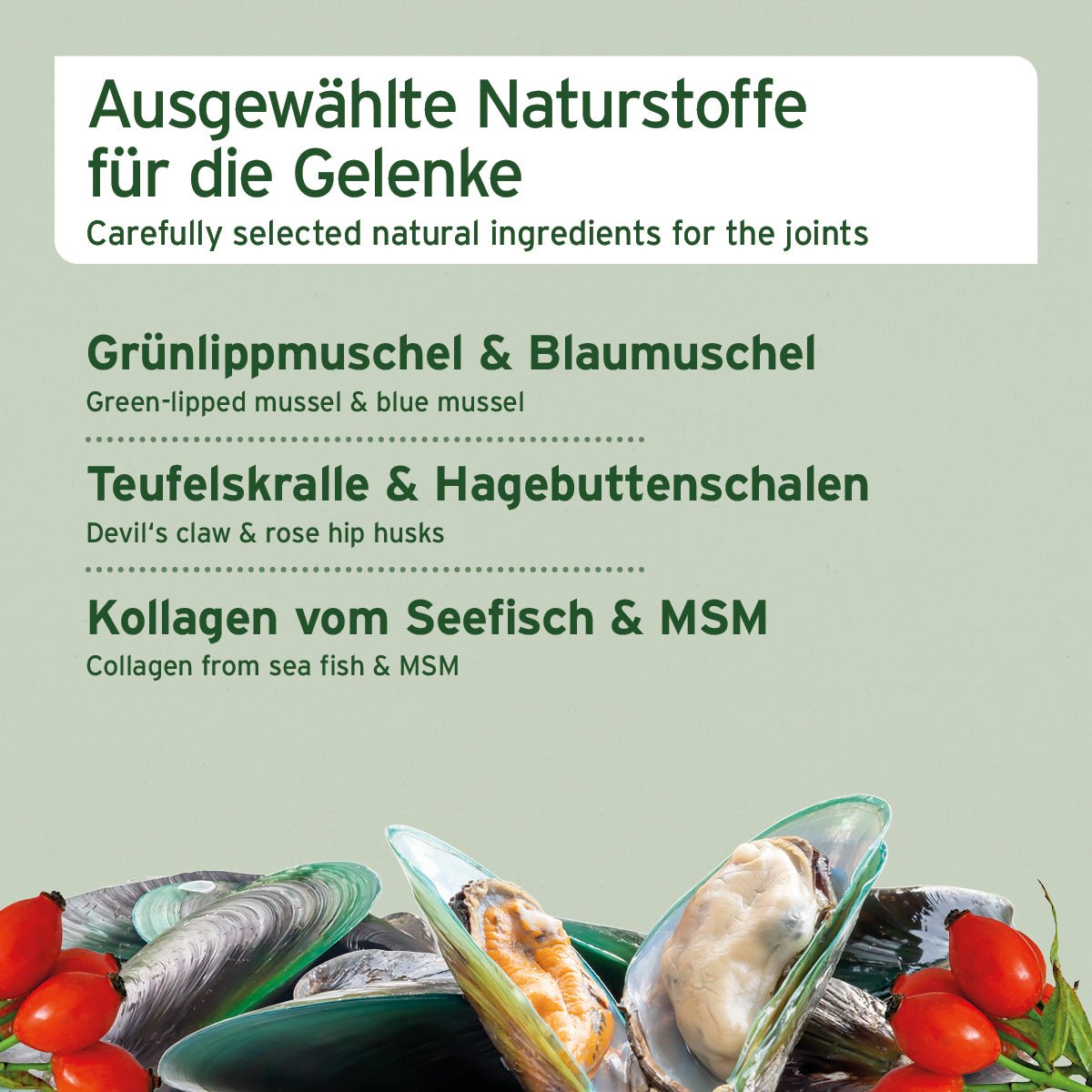 AniForte Gelenk Snack 300 g