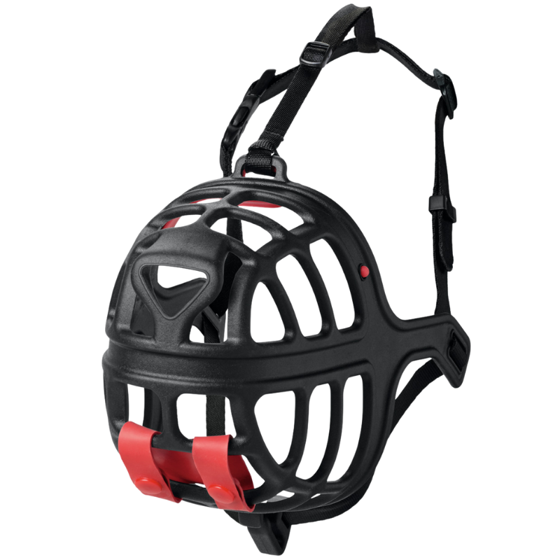 Hunter Maulkorb Albury