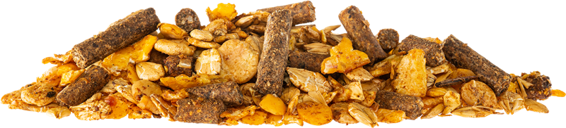 Josera Fohlen & Stute