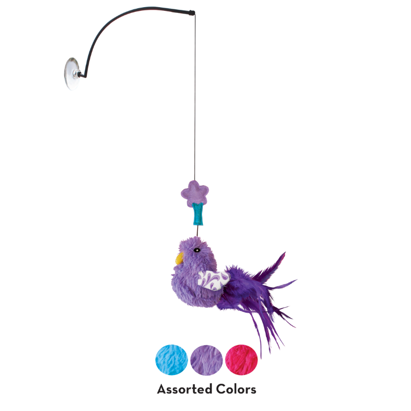 KONG Cat Connects Window Teaser